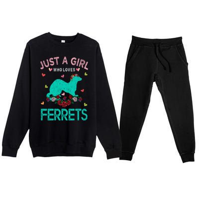 Ferret Lover Gift Just A Girl Who Loves Ferrets Cute Gift Premium Crewneck Sweatsuit Set