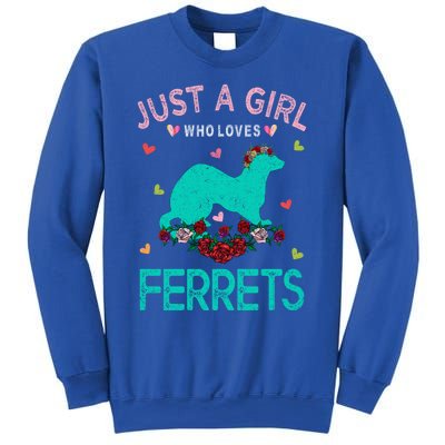 Ferret Lover Gift Just A Girl Who Loves Ferrets Cute Gift Sweatshirt