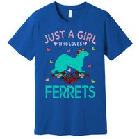 Ferret Lover Gift Just A Girl Who Loves Ferrets Cute Gift Premium T-Shirt