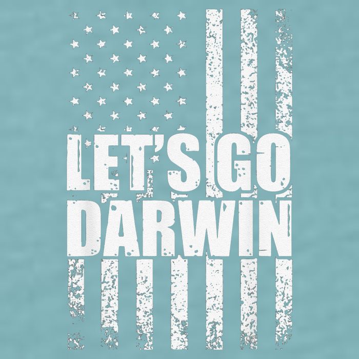 Funny Lets Go Darwin LetS Go Darwin American Flag Sueded Cloud Jersey T-Shirt