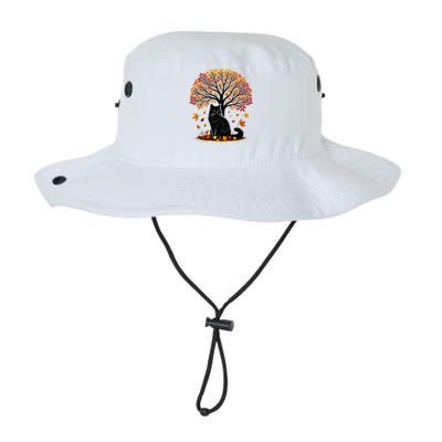 Fall Leaves Hello Autumn Cat Tree Thanksgiving Legacy Cool Fit Booney Bucket Hat