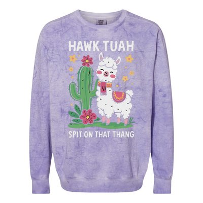 Funny Llama Hawk Tush Spit On That Thing Presidential Parody Colorblast Crewneck Sweatshirt