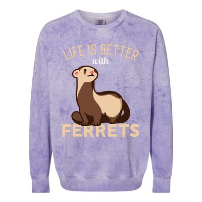 Ferret Life Is Better With Ferrets Colorblast Crewneck Sweatshirt