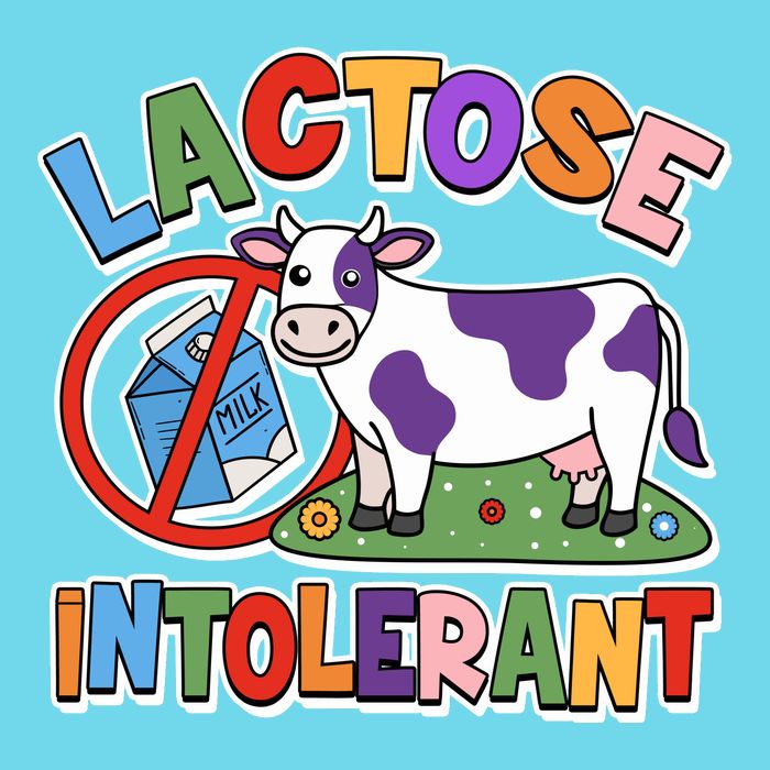 Funny Lactose Intorerant Cow Womens T-Shirt