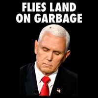 Flies Land On Garbage Mike Pence Debate Fly 16 in Basic Backpack