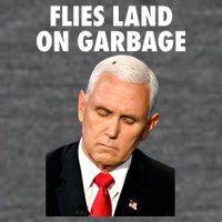 Flies Land On Garbage Mike Pence Debate Fly Mousepad