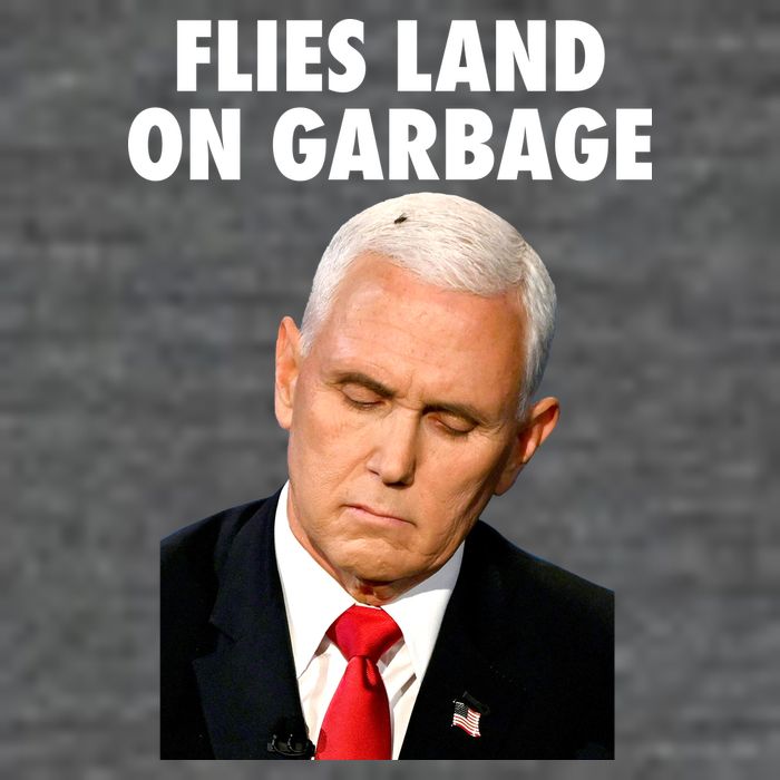 Flies Land On Garbage Mike Pence Debate Fly Mousepad