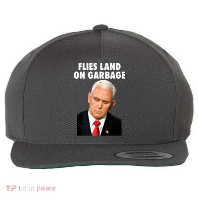 Flies Land On Garbage Mike Pence Debate Fly Wool Snapback Cap