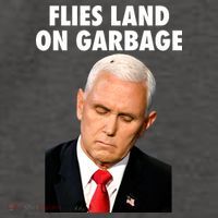 Flies Land On Garbage Mike Pence Debate Fly Vector Backpack