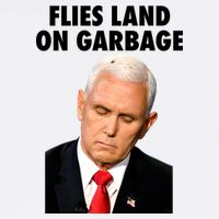 Flies Land On Garbage Mike Pence Debate Fly Garment-Dyed Sweatshirt