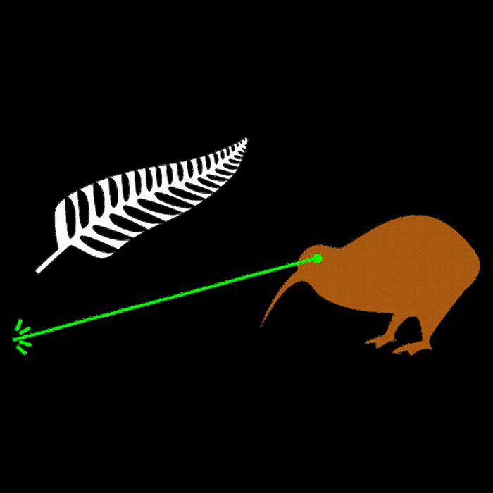 Funny Laser Kiwi Flag New Zealand Popular Choice Women's T-Shirt