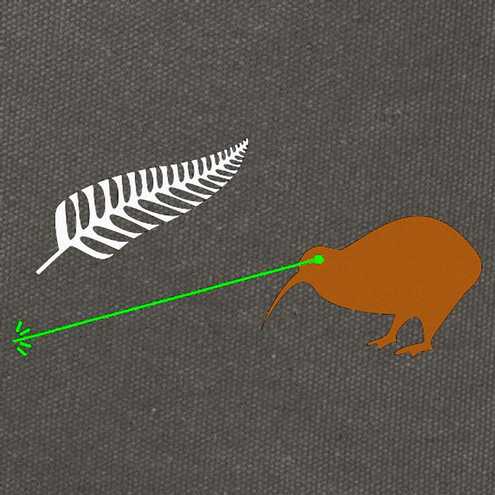 Funny Laser Kiwi Flag New Zealand Popular Choice Cotton Canvas Backpack