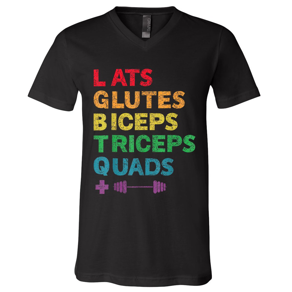 Funny Lgbtq Lats Glutes Biceps Triceps Quads Weightlifting V-Neck T-Shirt