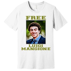 Free Luigi Mangione Brian Thompson Unitedhealthcare Ceo Premium T-Shirt