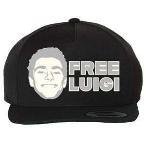 Free Luigi Mangione Release My Dude Wool Snapback Cap