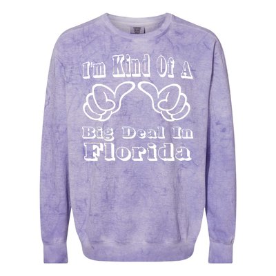 Florida Big Deal Colorblast Crewneck Sweatshirt