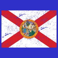 Florida Flag Distressed Vintage Hoodie