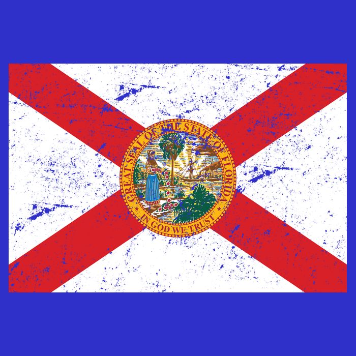 Florida Flag Distressed Vintage Hoodie