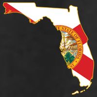Florida Map State Flag Adult Drive Performance Visor