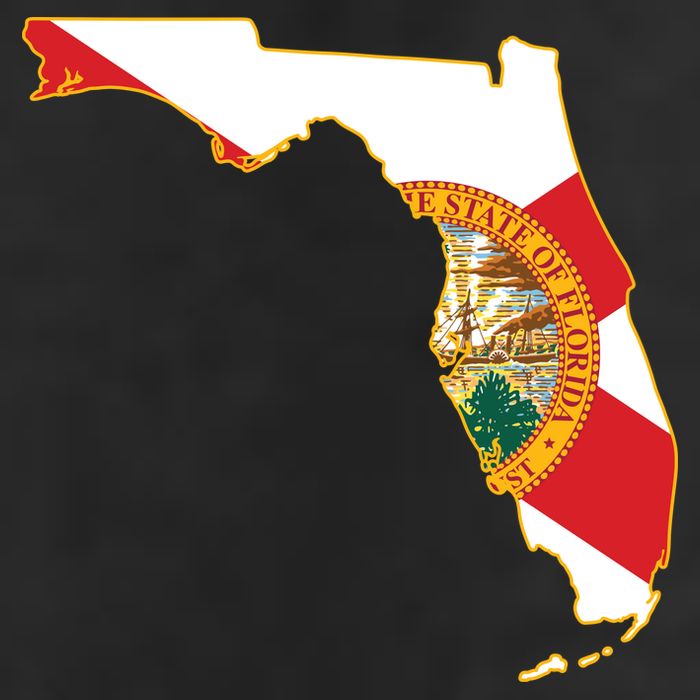 Florida Map State Flag Adult Drive Performance Visor