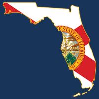 Florida Map State Flag Poster