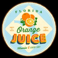 Florida Orange Juice Vitamin C Everyday T-Shirt