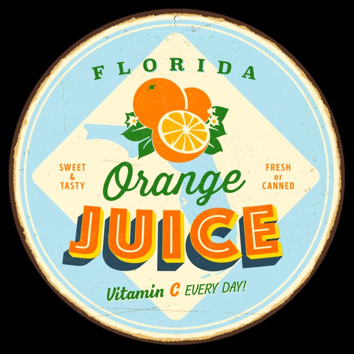 Florida Orange Juice Vitamin C Everyday T-Shirt