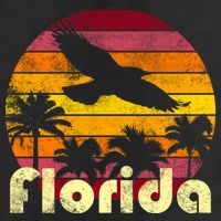 Florida Retro Sunset Adult Drive Performance Visor