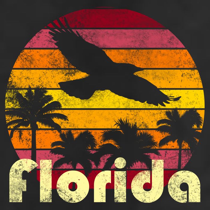 Florida Retro Sunset Adult Drive Performance Visor