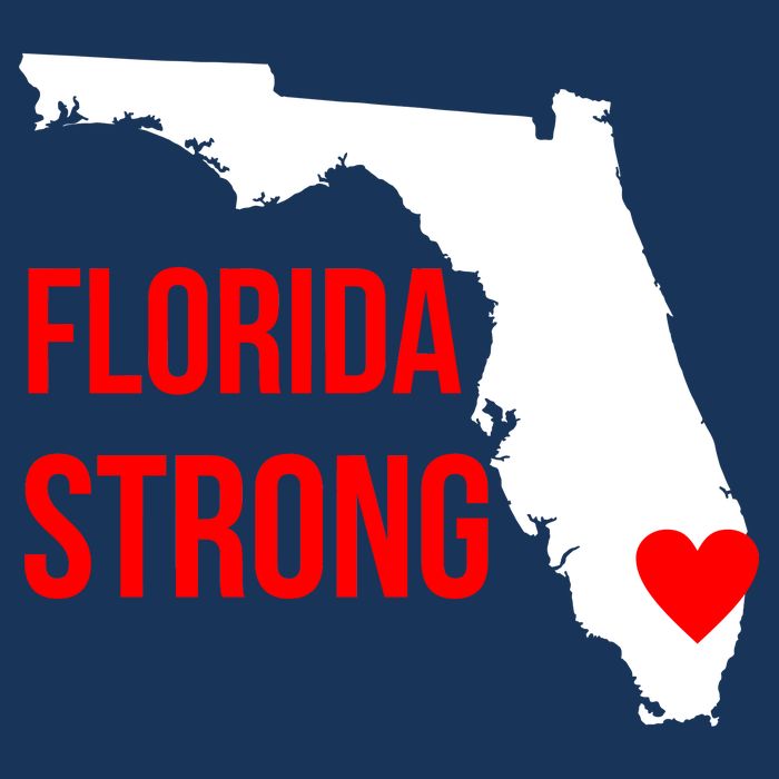 Florida Strong Hurricane Irma Support 16 in Basic Backpack