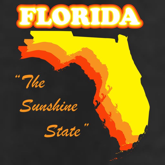 Florida The Sunshine State 11oz C Handle Ceramic Mug