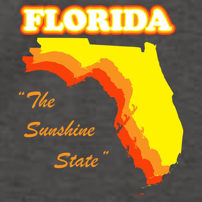 Florida The Sunshine State Vector Backpack