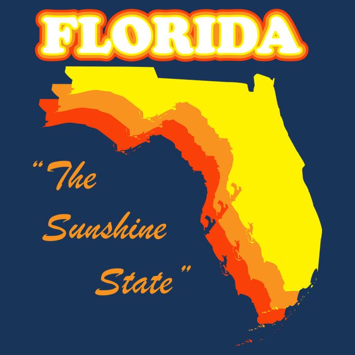 Florida The Sunshine State T-Shirt
