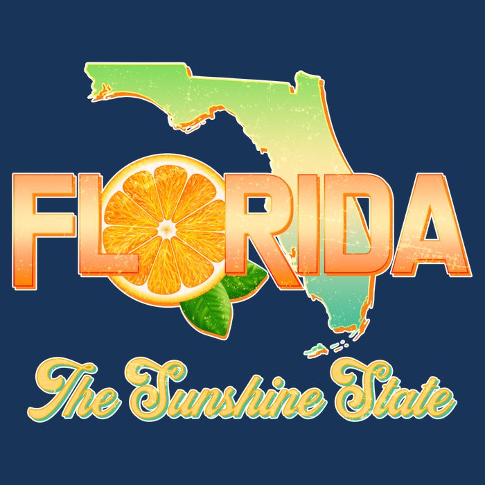 Florida The Sunshine State Orange Logo T-Shirt