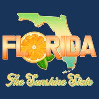 Florida The Sunshine State Orange Logo Premium T-Shirt