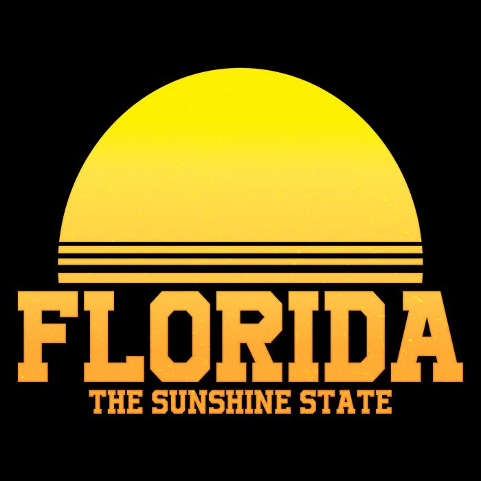 Florida The Sunshine State Retro Sun Cooling Performance Crew T-Shirt