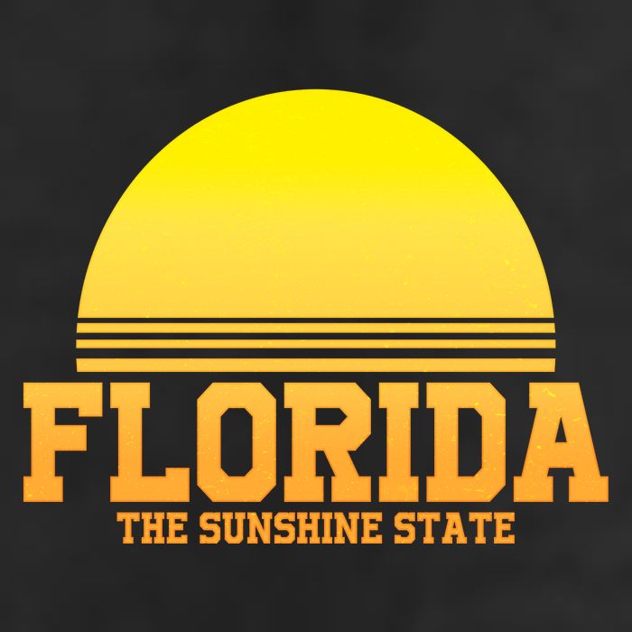 Florida The Sunshine State Retro Sun 11oz C Handle Ceramic Mug