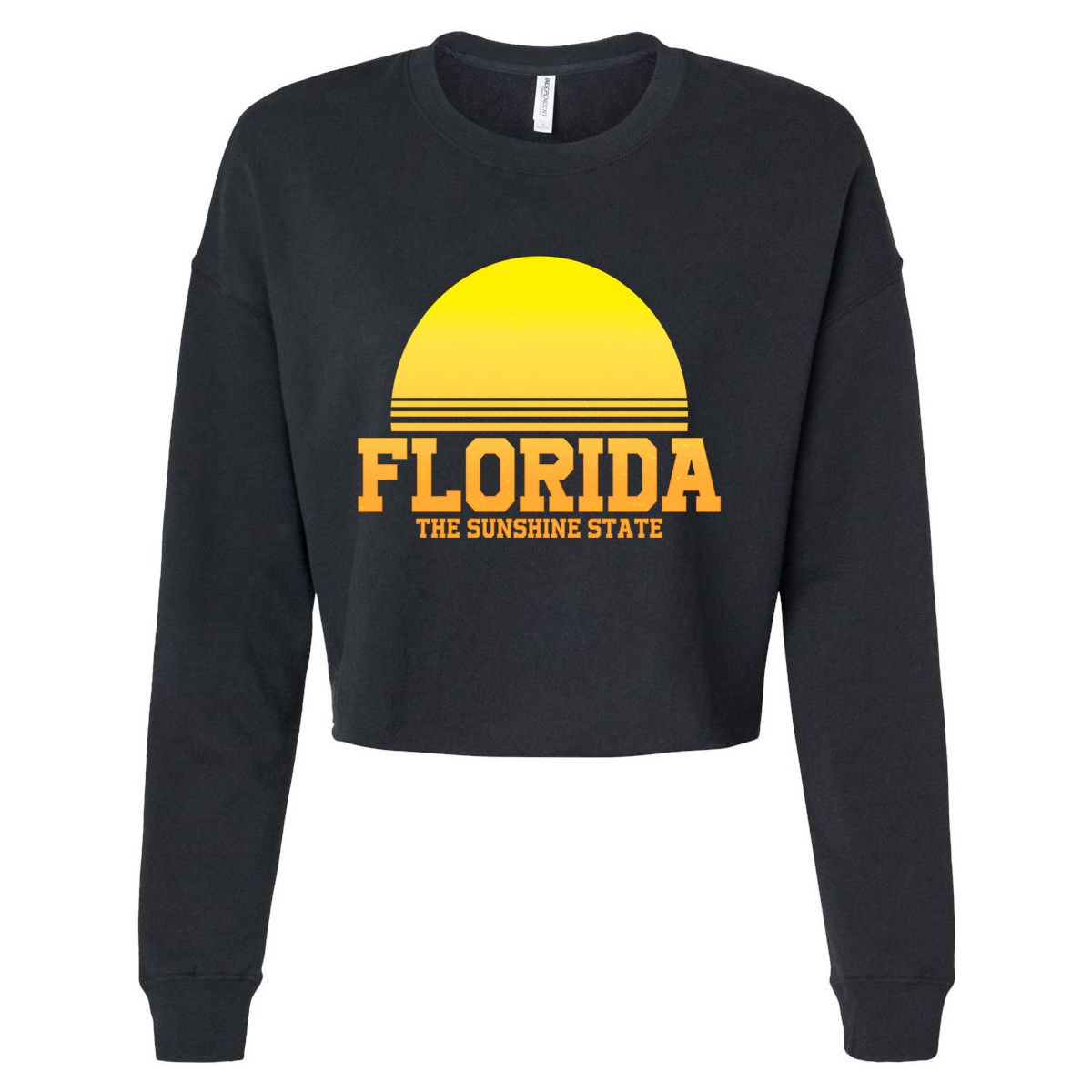 Florida The Sunshine State Retro Sun Cropped Pullover Crew