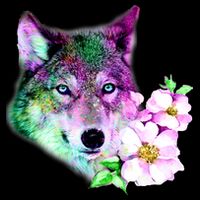 Flower Colorful Wilderness Wolf Sweatshirt