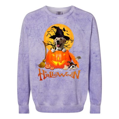 Funny Labrador Retriever1 Spooky Halloween Colorblast Crewneck Sweatshirt