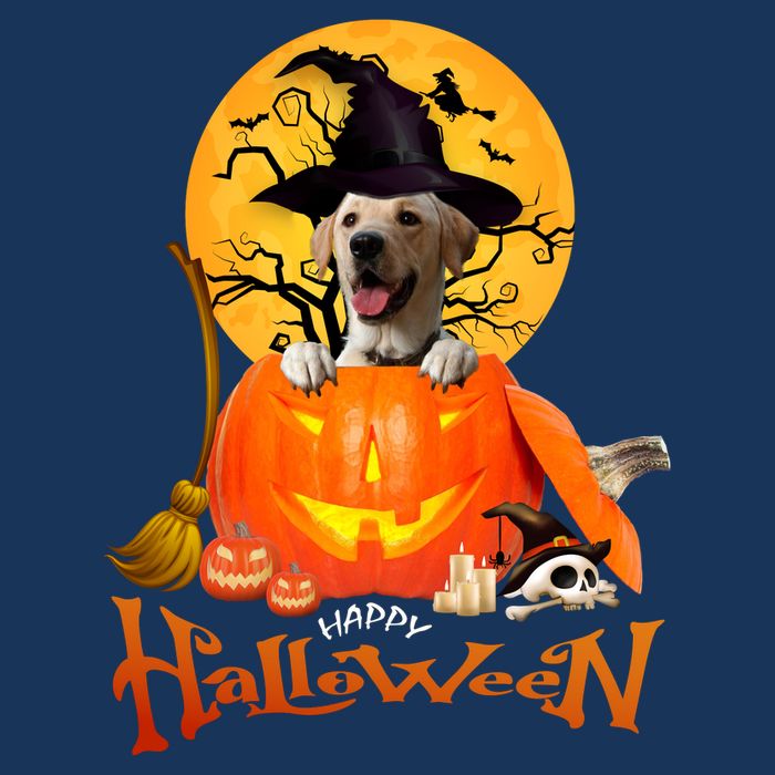 Funny Labrador Retriever1 Spooky Halloween 16 in Basic Backpack