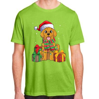 Funny Labrador Retriever Christmas Lights Xmas Lab Dog Lover Great Gift Adult ChromaSoft Performance T-Shirt