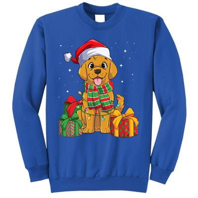 Funny Labrador Retriever Christmas Lights Xmas Lab Dog Lover Great Gift Sweatshirt