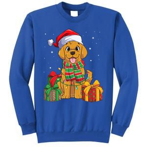 Funny Labrador Retriever Christmas Lights Xmas Lab Dog Lover Great Gift Tall Sweatshirt