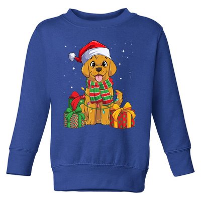 Funny Labrador Retriever Christmas Lights Xmas Lab Dog Lover Great Gift Toddler Sweatshirt