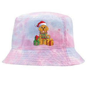 Funny Labrador Retriever Christmas Lights Xmas Lab Dog Lover Great Gift Tie-Dyed Bucket Hat