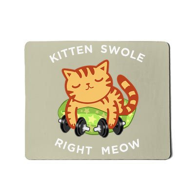 Funny Lifting Right Meow Cat Workout Gym Kitty Tee Mousepad