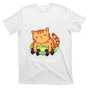 Funny Lifting Right Meow Cat, Workout Gym T-Shirt