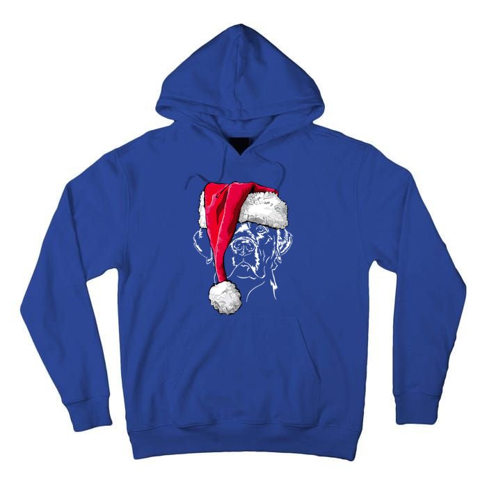 Funny Labrador Retriever Santa Christmas Dog Lab Mom Gift Meaningful Gift Tall Hoodie