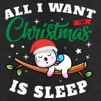 Funny Lazy Sloth All I Want For Christmas Is Sleep Funny Gift Cool Comfort Performance Bucket Hat